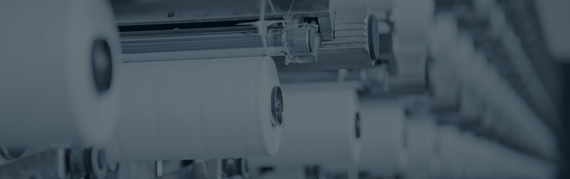 รายละเอียดสินค้า